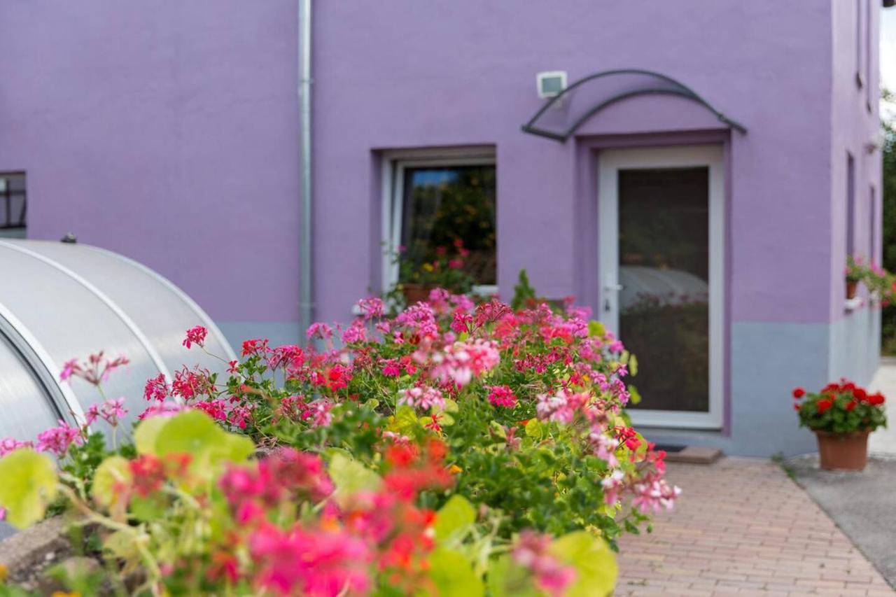 Апартаменты Les Jardins De Lo'Re'An Holtzwihr Экстерьер фото